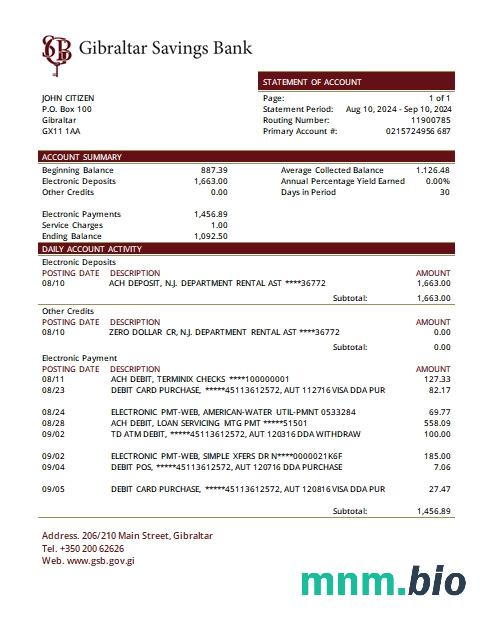 Ghana Zenith dowód adresu szablon wyciągu bankowego w programie Word i PDF
